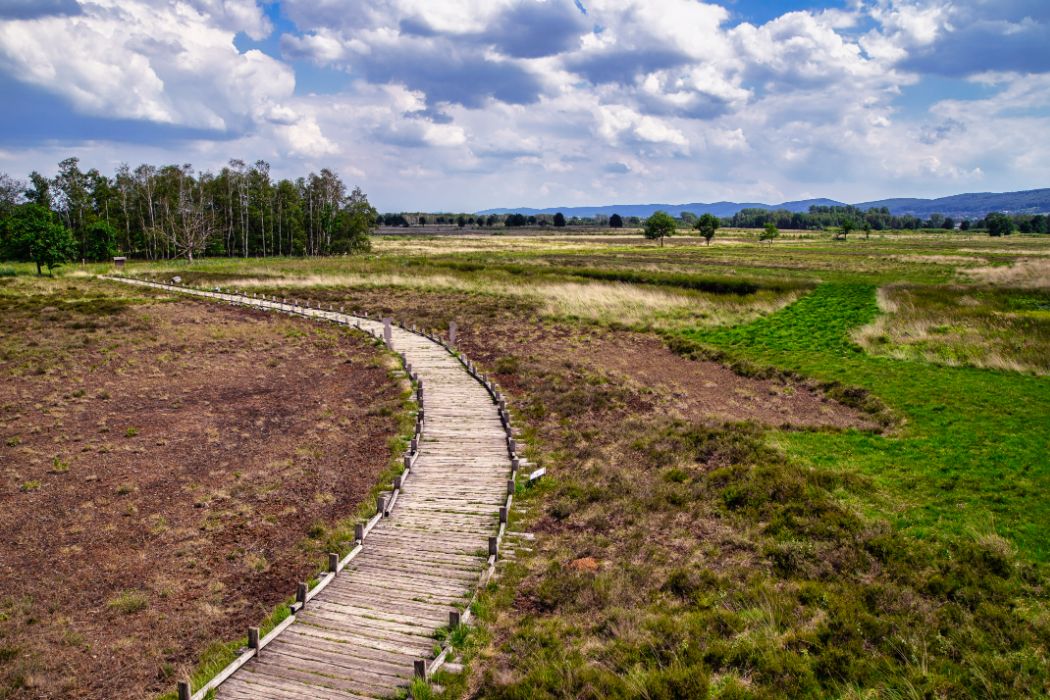 Duitsland Lubbecke Torfmoor 01