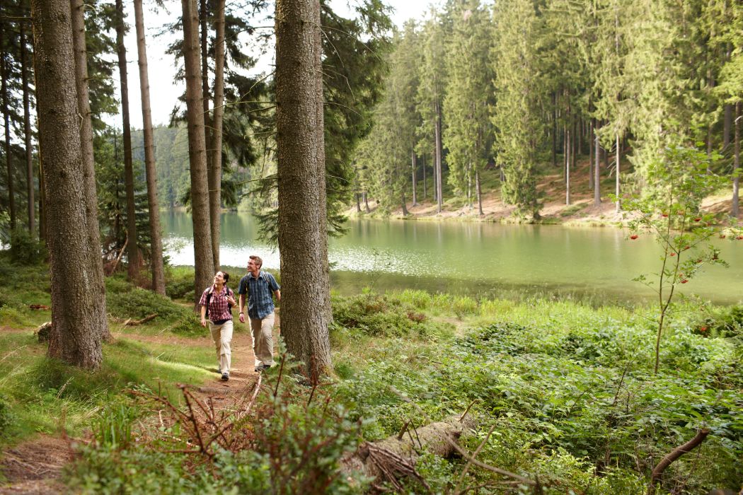 Harz campings