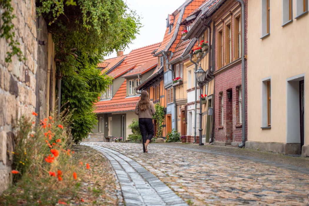 Harz campings