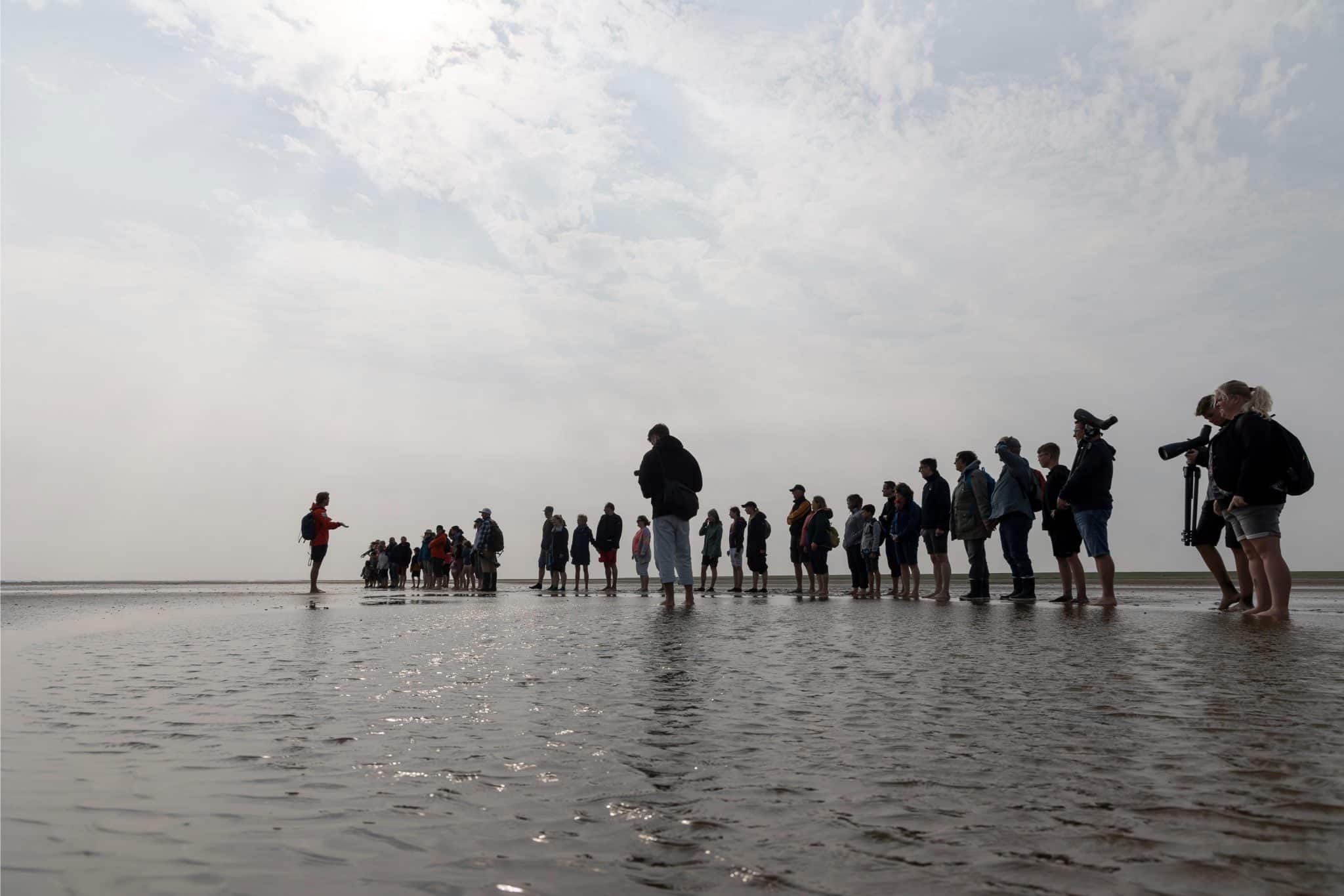 TestTour Denemarken_zeehondensafari_familie Droogsma