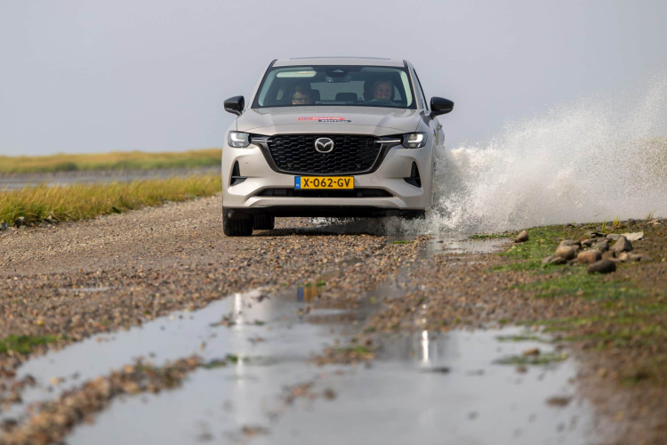 TestTour Denemarken_zeehondensafari_Mazda CX-60